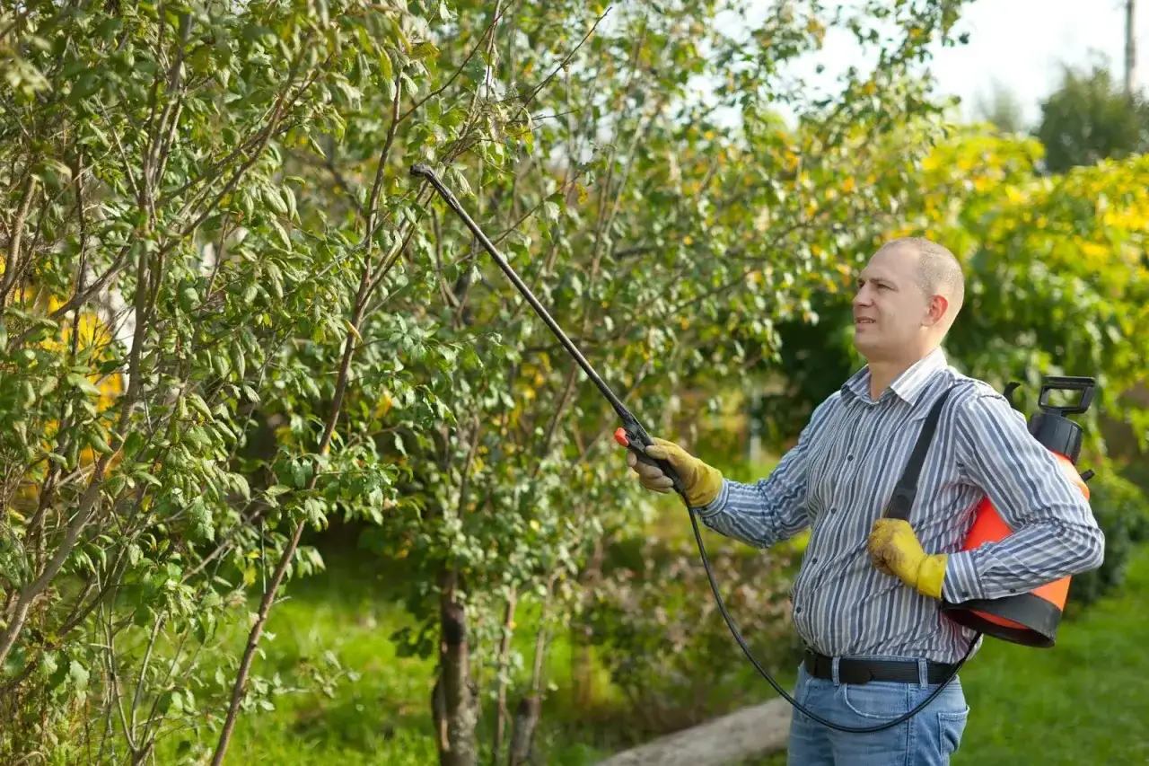 Bouillie bordelaise - quand et comment l'utiliser au jardin ?