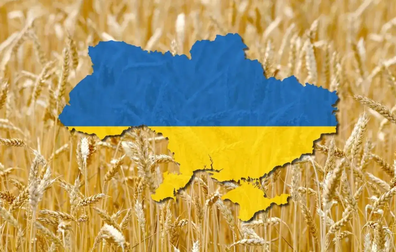 Ukraine - Le blé qui pèse plus que son classement mondial